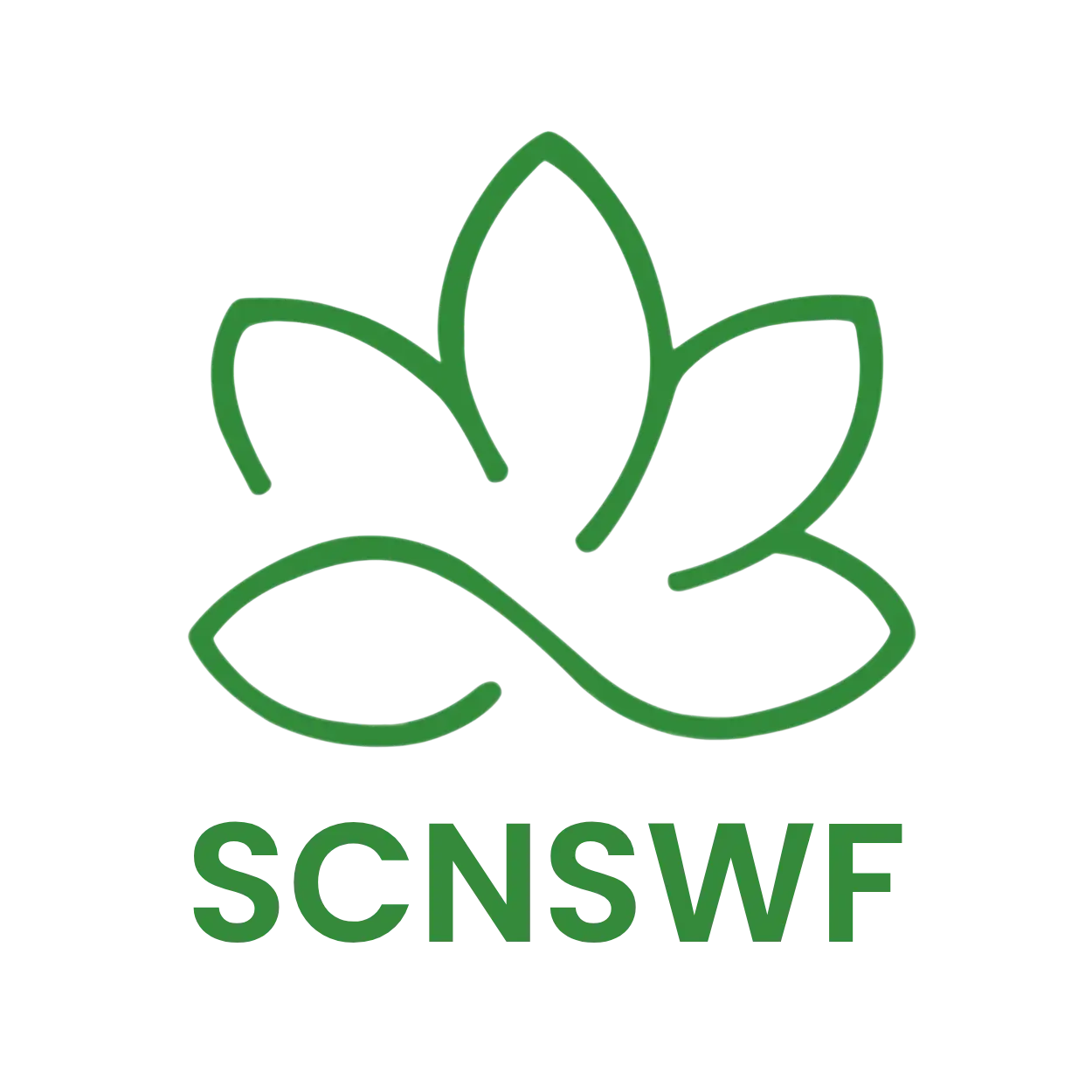 SCNSWF logo 20251007 193744 0000